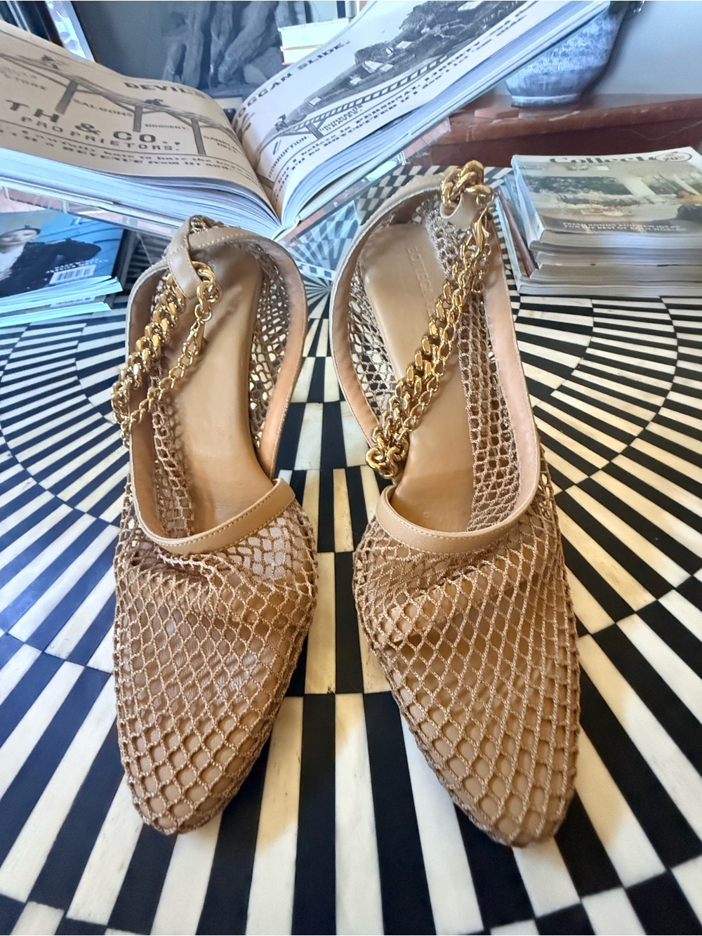 Bottega Veneta Tan Mesh Pointed Slingback Heels with Gold Chain